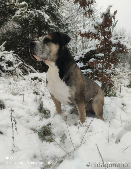 kim privat hd pornstar picture