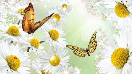 Misfit Barbiie hot actress pics