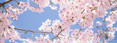 Thatoneguy star nude archive