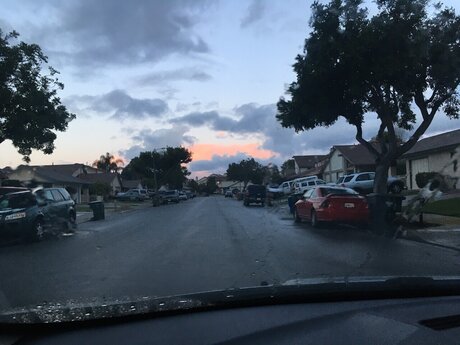 Megan Gardner naked pornstar pic