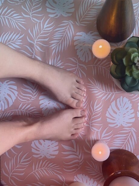 Payge star perfect gallery