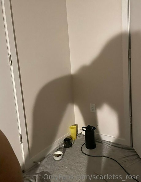 scarletss rose high quality model gallery