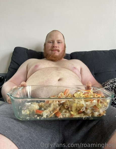 roaminghog high quality model galleries