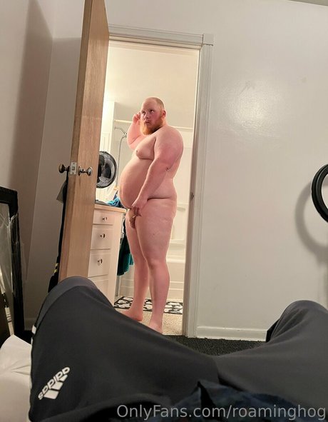 roaminghog star top pic