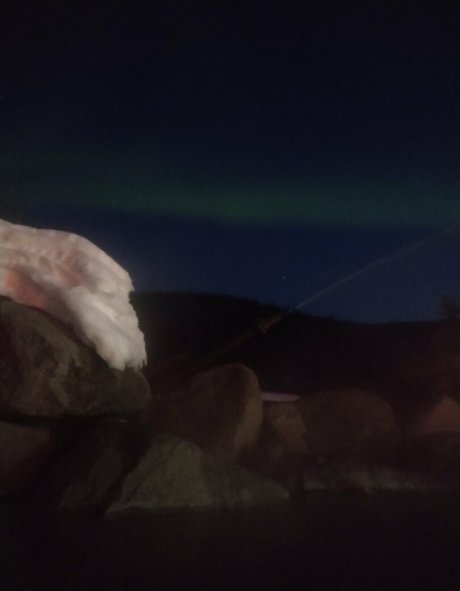 flowerpower87 nudes pornstar pic