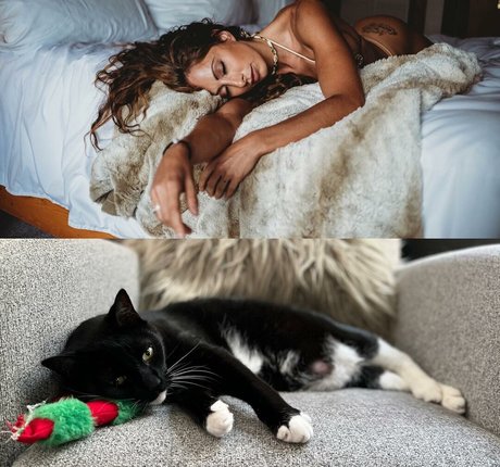 Casey Samsel pornstar adult photos