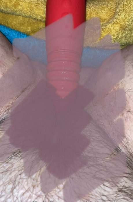 bibibirdiexx hot pornstar picture