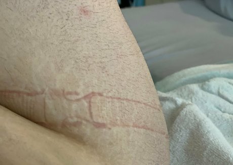 bibibirdiexx nice pornstar photos