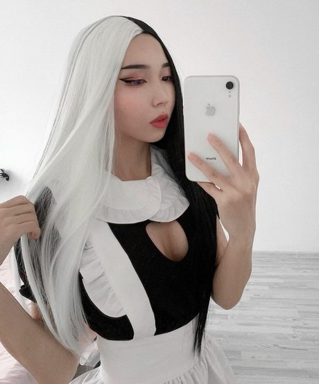 Ninja Vi perfect star galleries