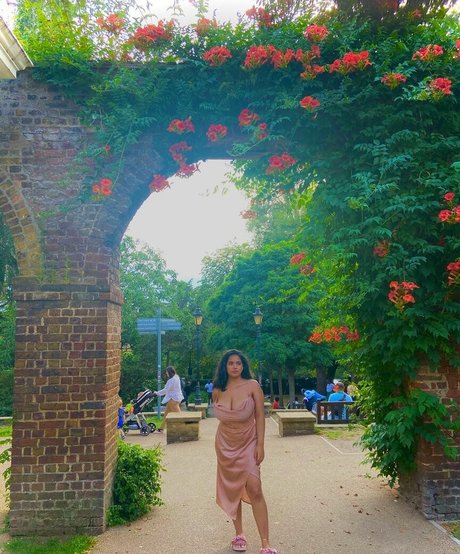 Boa Hancock star nice gallery