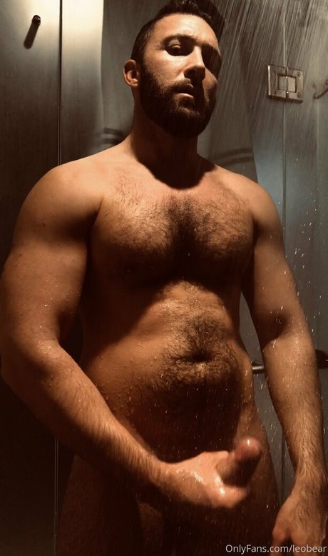 leobear nice star img