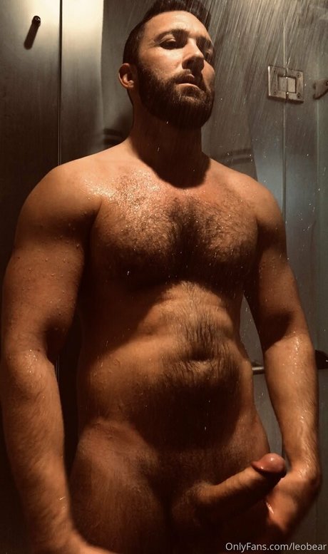 leobear art pornstar archive