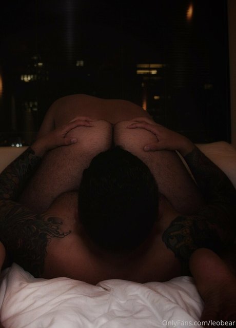 leobear hd star picture