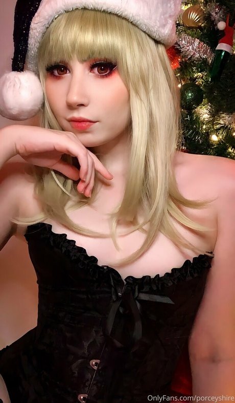 porceyshire high quality model picture