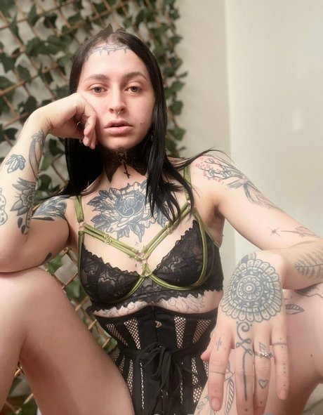 floworb top star pictures