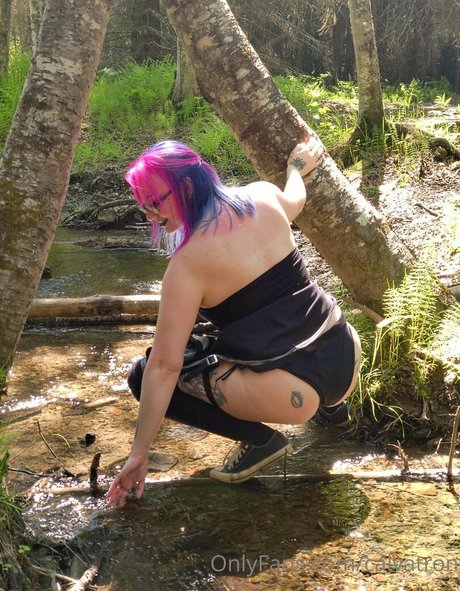 calvatron star adult photo