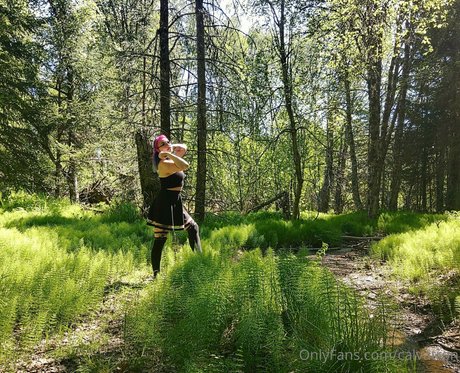 calvatron nude star pictures