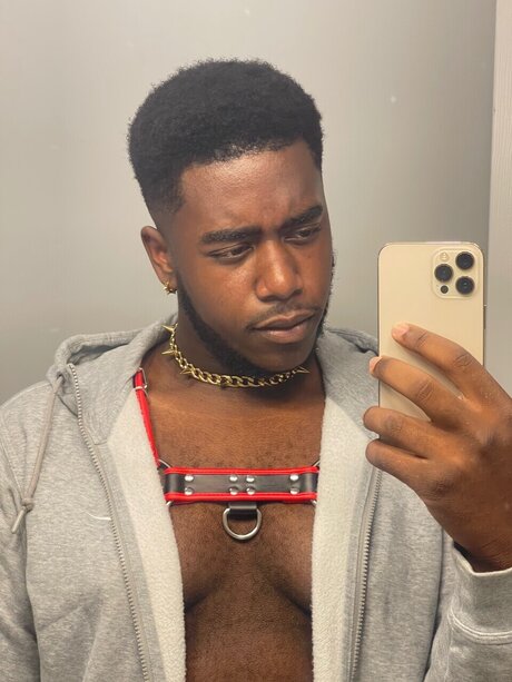 Papa bear star pretty img