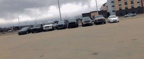 Ethan Trudeau free star archive