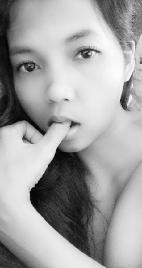 Crazdvviiee best model archive