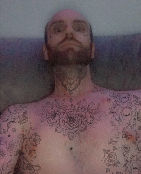 Nino star perfect archive