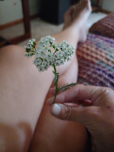 Madira Vega Antares pornstar naked photos