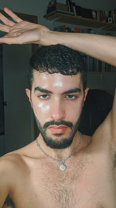 Hiena free model images