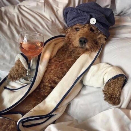 Thick Guy star hd img