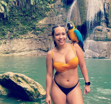 Ginnadlg star free galleries