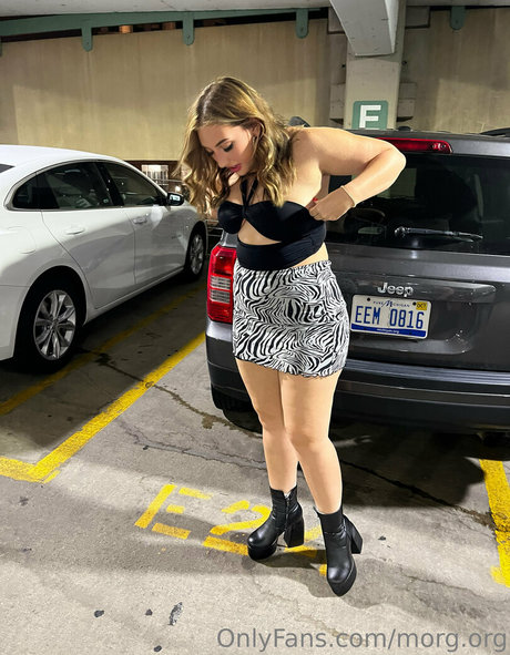 morg org perfect star img