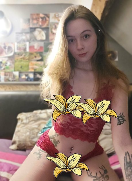 sleepyvegan pornstar high quality photo