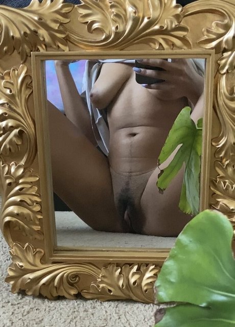 holymacre star hd gallery