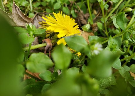 big tits anal onlyfans beautiful archive