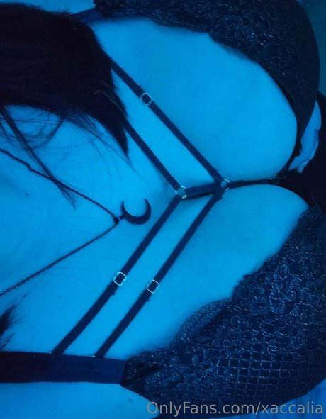 xaccalia pornstar erotic gallery