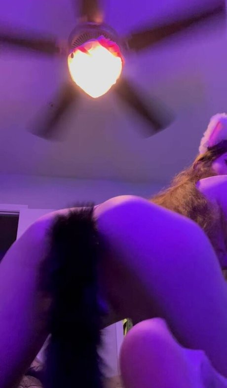 Lillith Xoxo free pornstar pics