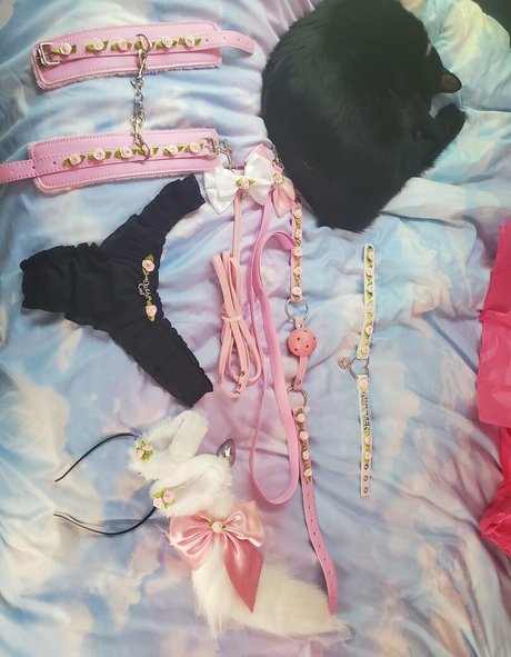 flow3r kitt3n best pornstar archive