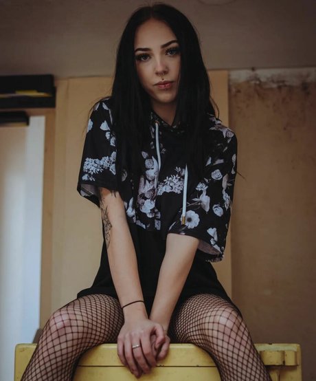 Jensteviexo profile pic