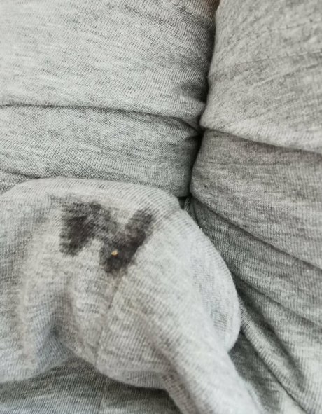 uwetdreams pornographic actress galleries