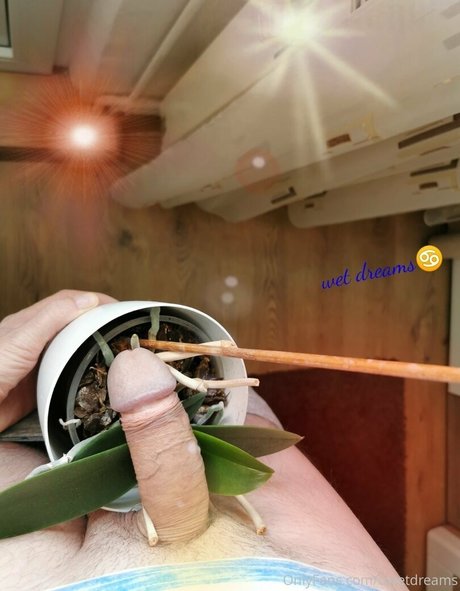 uwetdreams pornstar erotic image