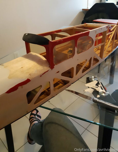 avrilvixxxen pornographic model picture