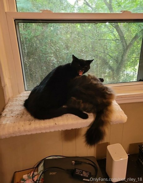 foxygamergurl best model gallery