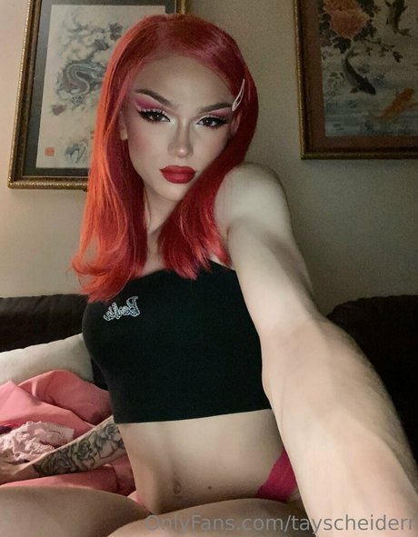 tayscheiderr pornstar hd picture