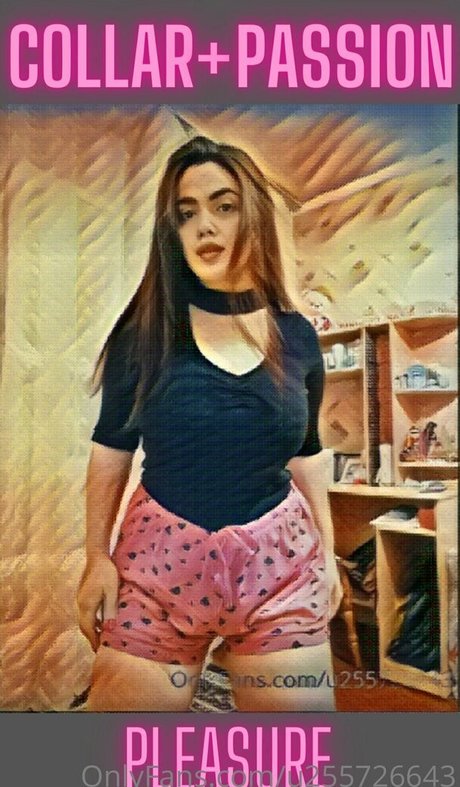 wildboobs pornstar free archive