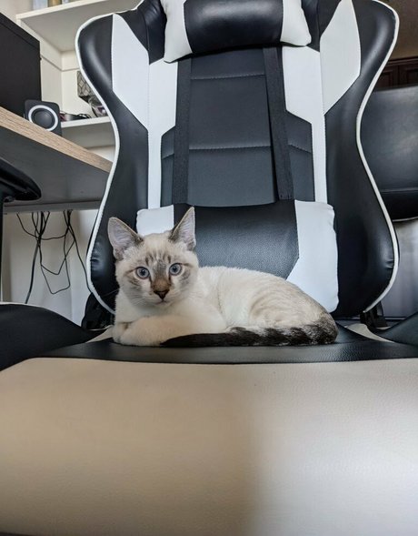 sweet nymph star hd pictures