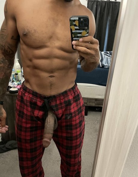 justicelv4 model best archive