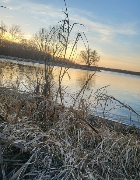 ur succubus gf pornstar sex images