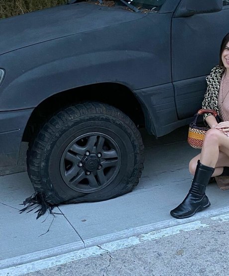 Scout Willis art actress image