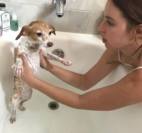 Scout Willis star sexy pic