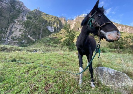 the real ninja girl pretty pornstar pic