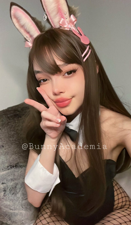 bunnyacademia profile pic